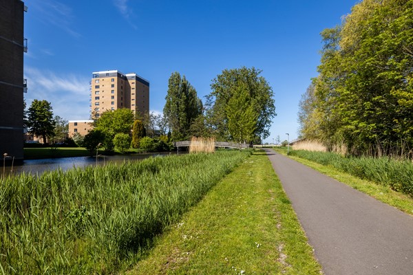Medium property photo - Van der Waalsstraat 26, 3132 TM Vlaardingen